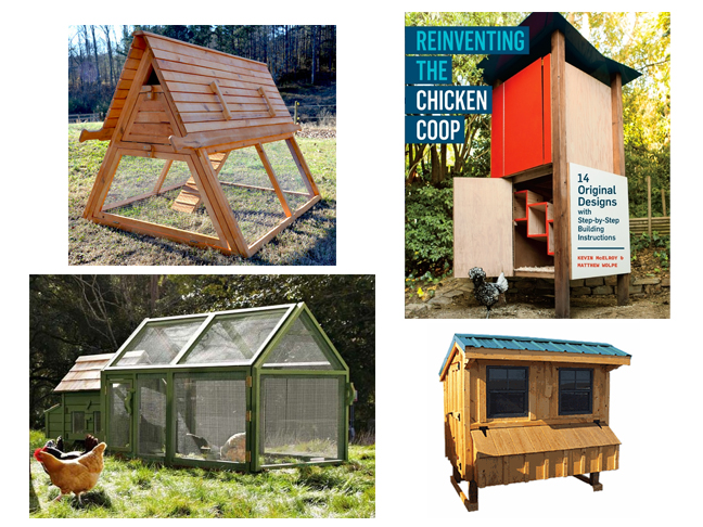 Backyard Chicken Coops