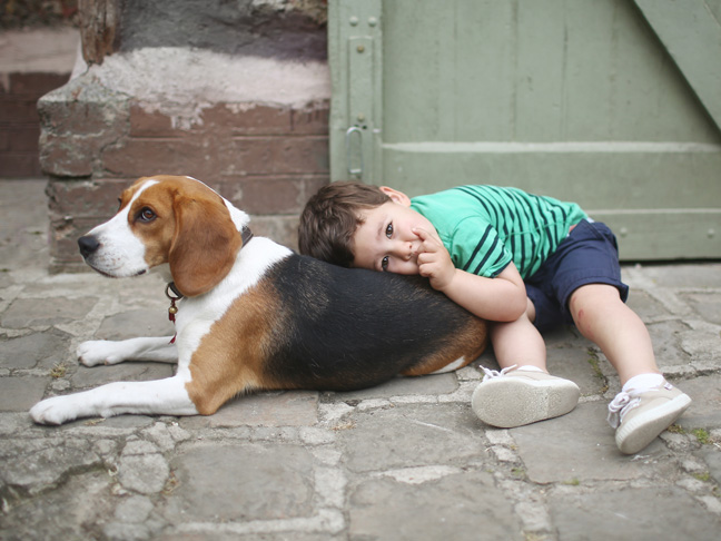 what is the best dog for a small child