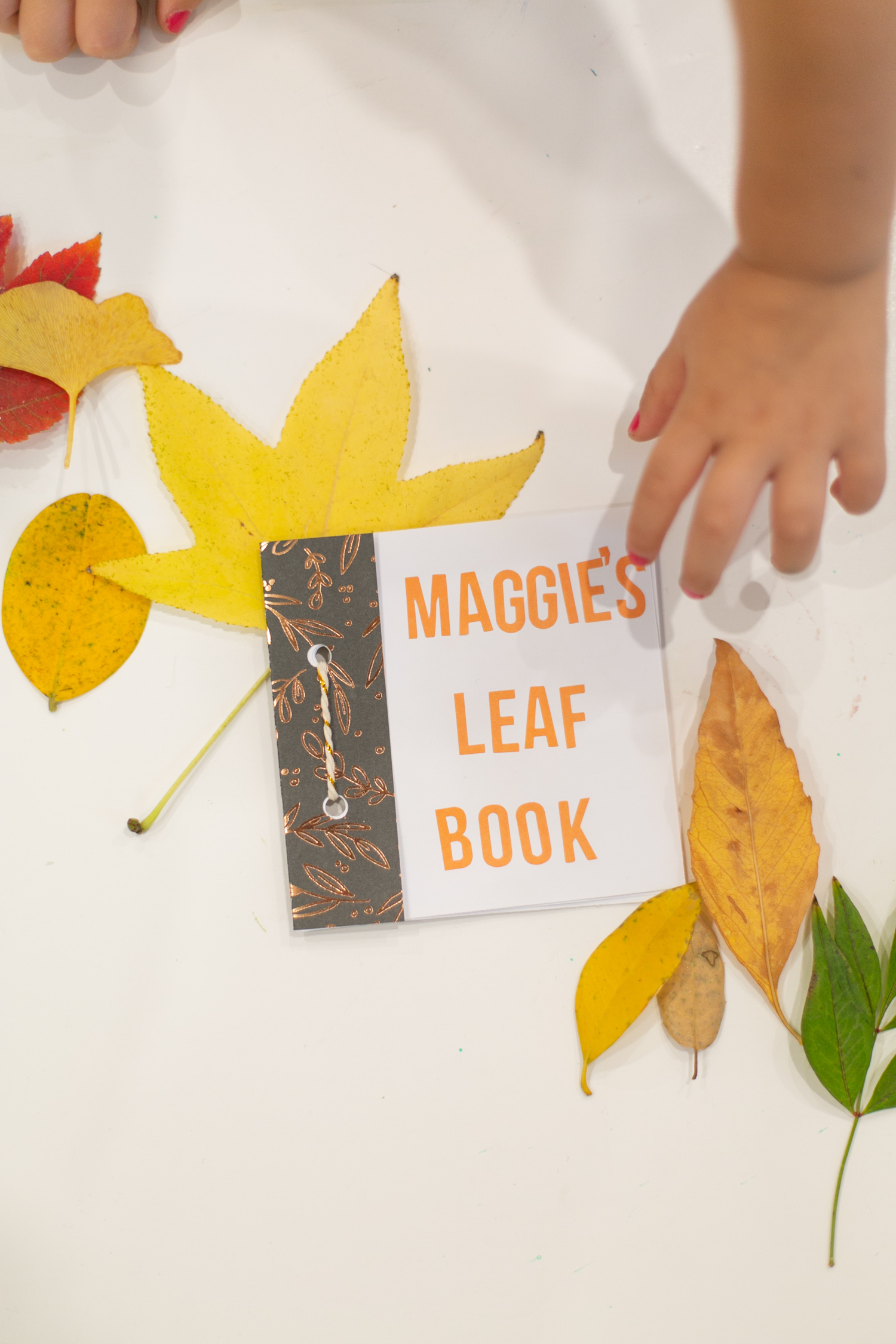 Diy Fall Kids Craft: Make A Leaf Book