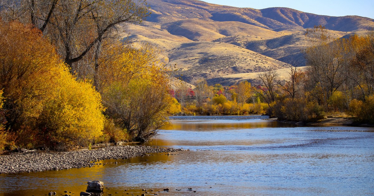 The Top 10 Family-Friendly Activities in Boise, Idaho