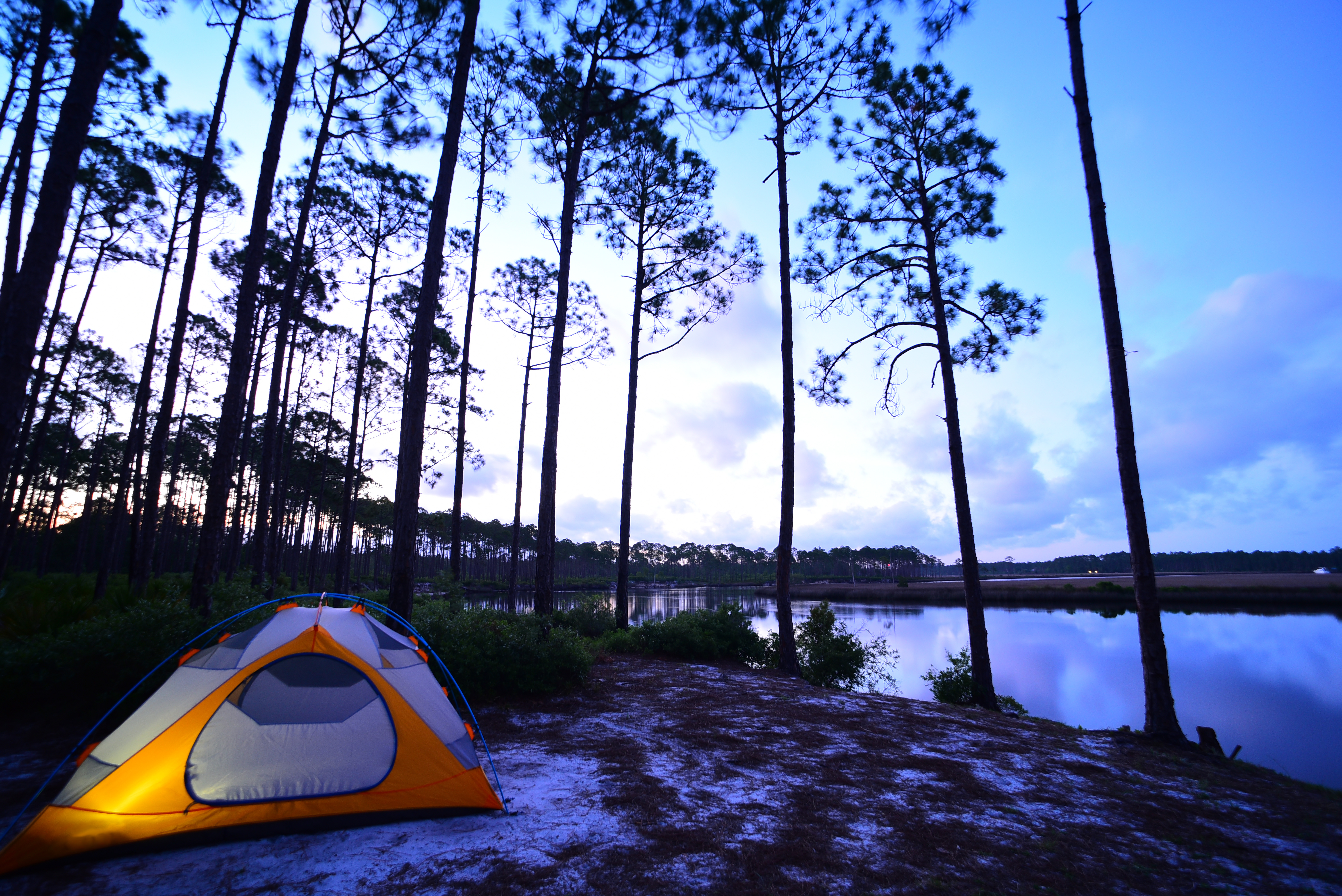 6 Best Camping Places In Florida For Your Next Family Adventure