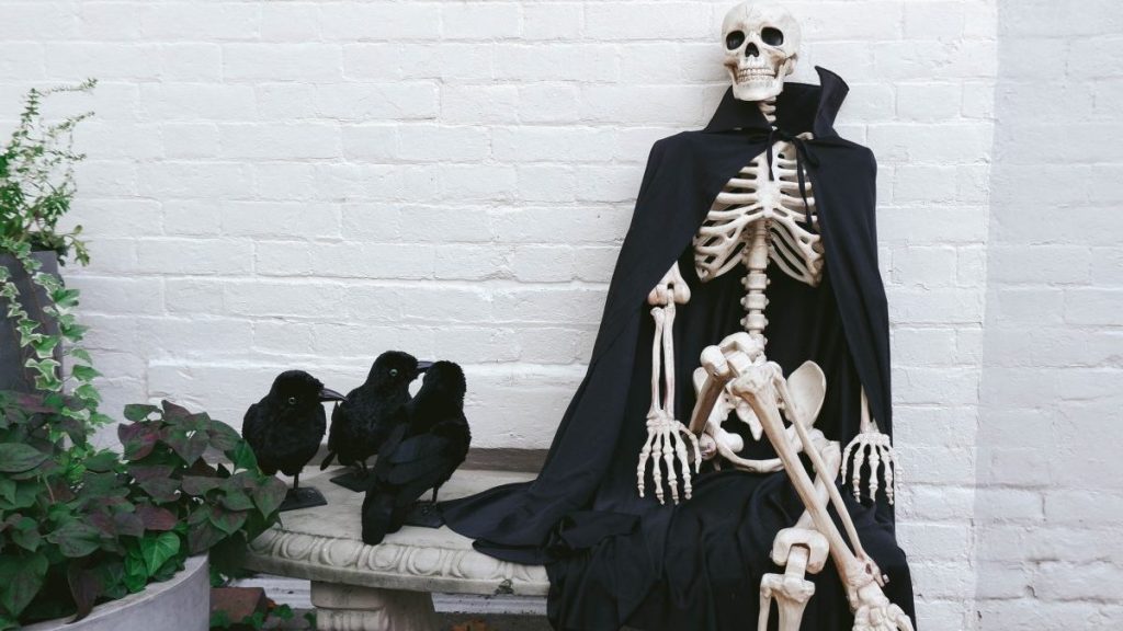 Close-up of skeleton with legs crossed resting on bench outdoors