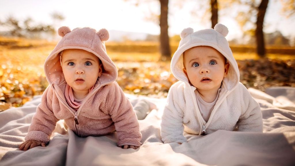 Cute identical twin babies laying on the blanket surrounded with yellow leaves and fruits in a fall park