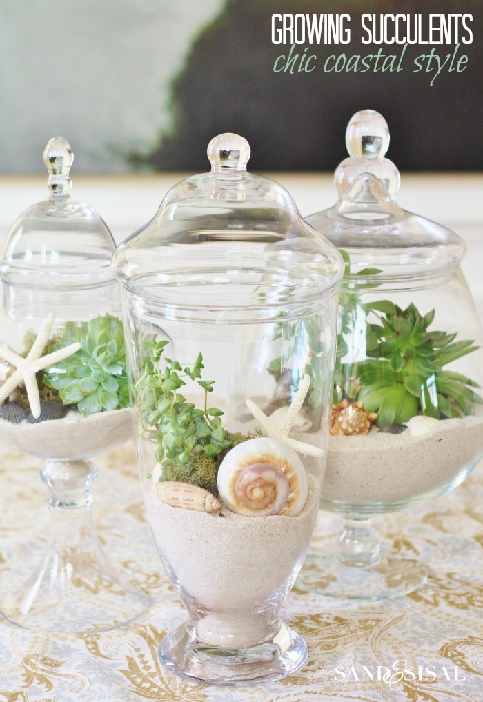 Decorating Ideas ~ A Year of Apothecary Jars