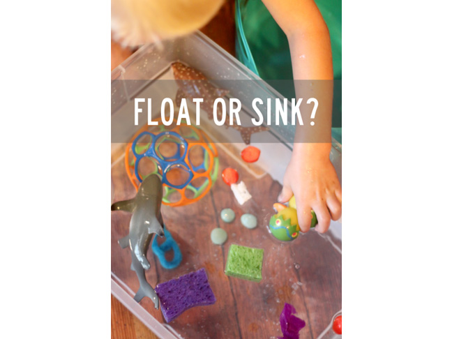 Float or Sink Experiment